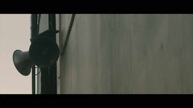 OVER LOUDSPEAKER I can see you, little bird