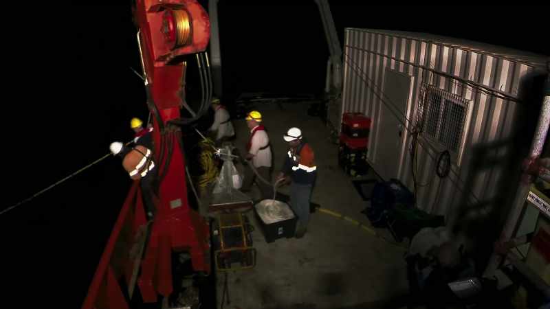 Over the next three weeks, they don't find a single lanternfish