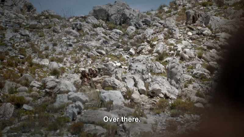 OVER THERE!