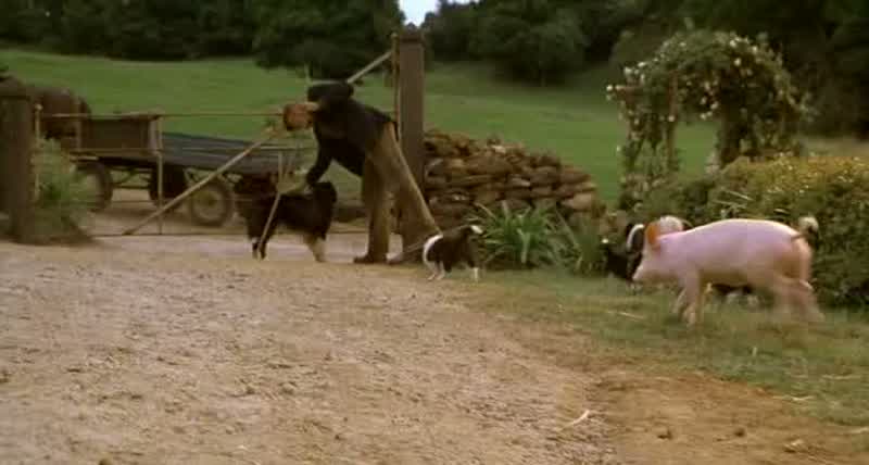 �- Ow! ¡- el Cerdo-cerdo-cochinillo!