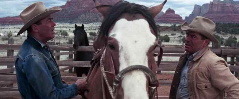 Ow. This horse is a damn cannibal