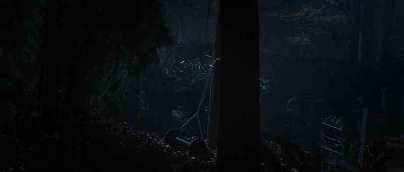 (OWL HOOTING)