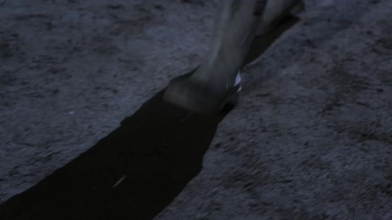 [Owl hooting]