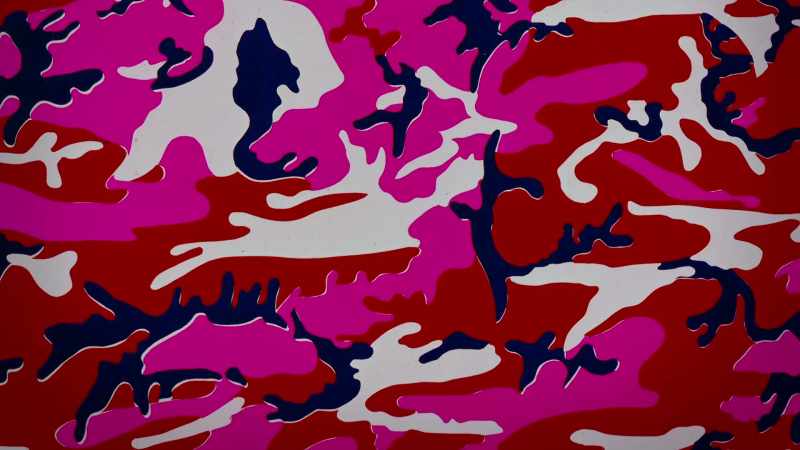 Oxidations, camouflage, Rorschach