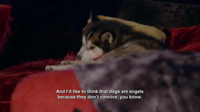 [Ozzy speaking]