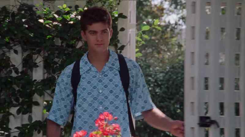 Pacey! Hello. Nice to see you again