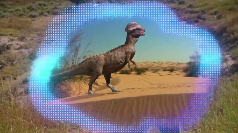 PACHY IS SHORT FOR PACHYCEPHALOSAURUS