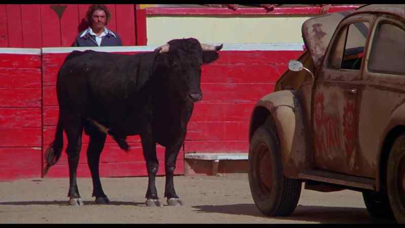 PACO: Hey, toro, toro!