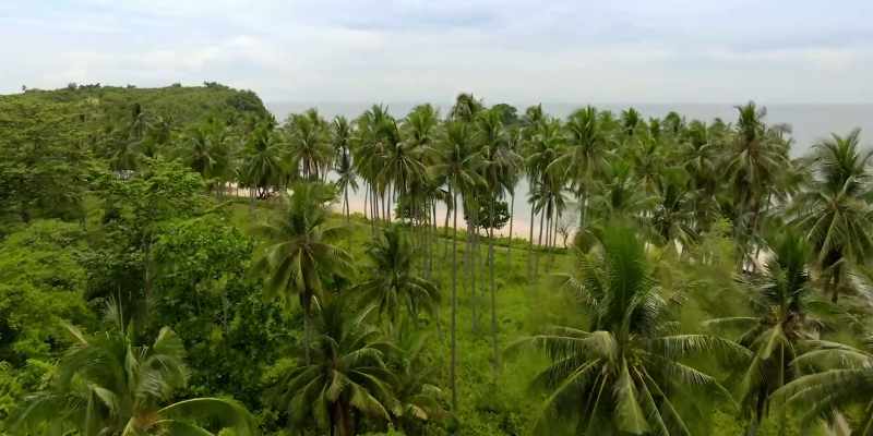 PALAWAN FILIPINAS