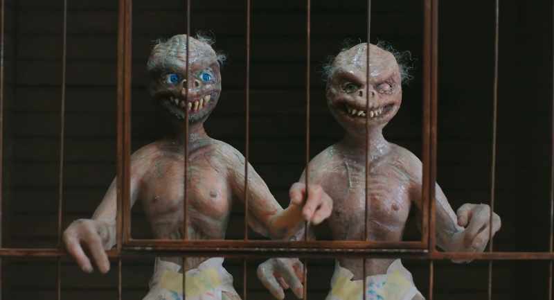 Pale little inbred creatures