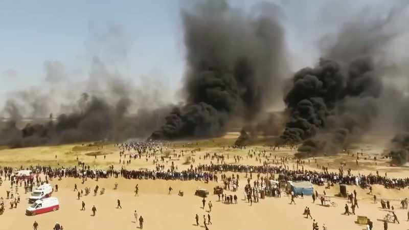 Palestinians are so dehumanized in the community that it's really hard