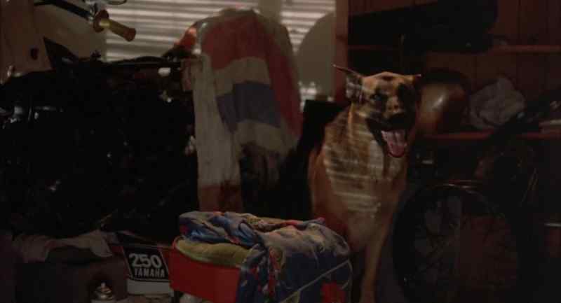 [Panting]