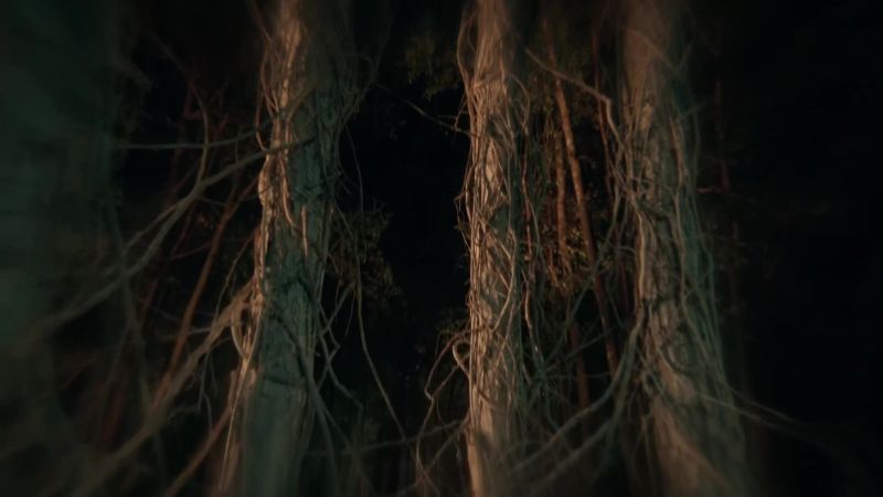 Parish: This is our genesis