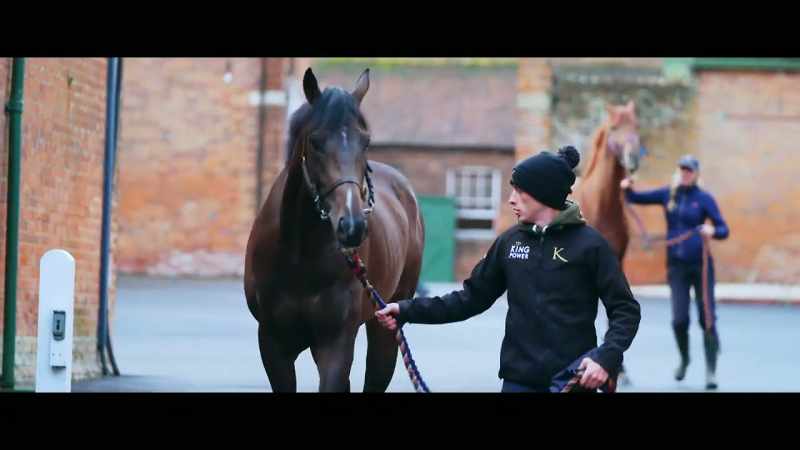 Park House Stables is the beating heart