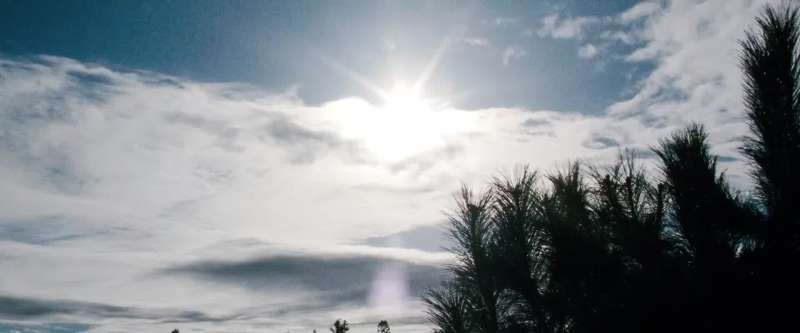 Parker The sun feels good