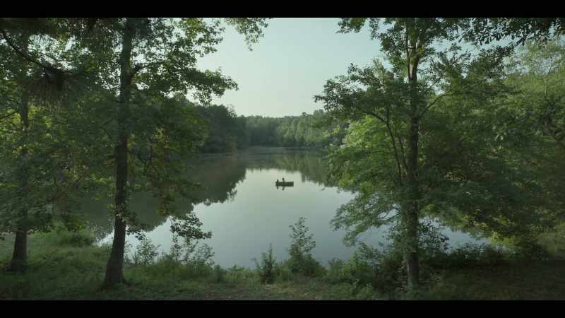 Pat told me Dad loved to fish here, but I can't find the fish