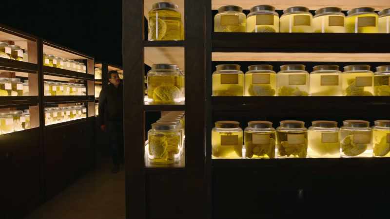 Paul Broca's own brain ended up in a jar