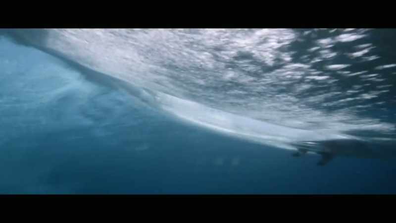 [Paul] I understand that parents and surfers
