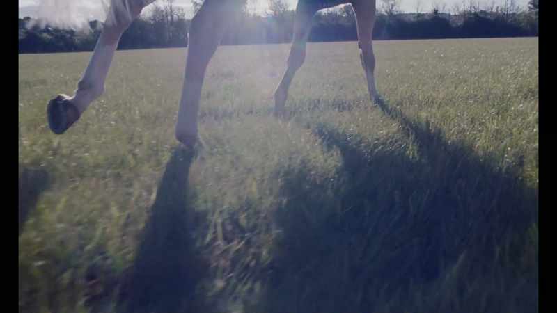 PAUL: We had a horse