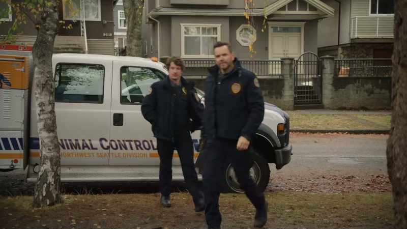 [peacock calls]