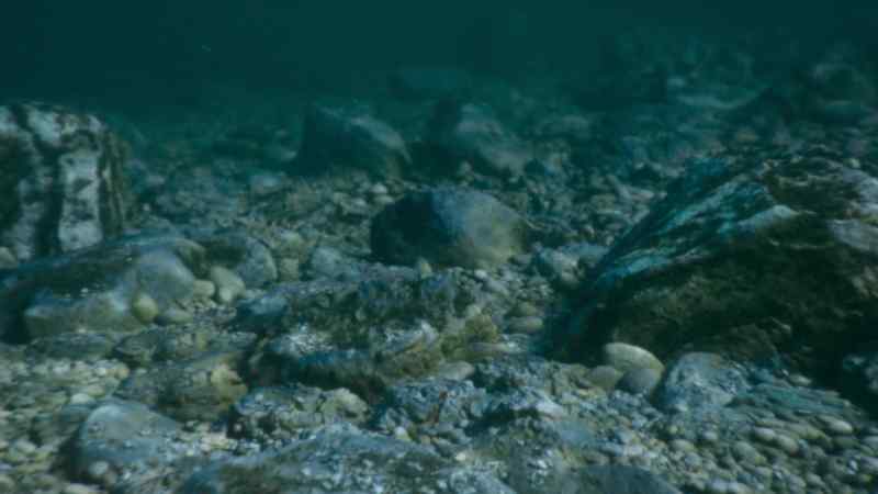 Pebbles that are particularly smooth, hard, and rounded