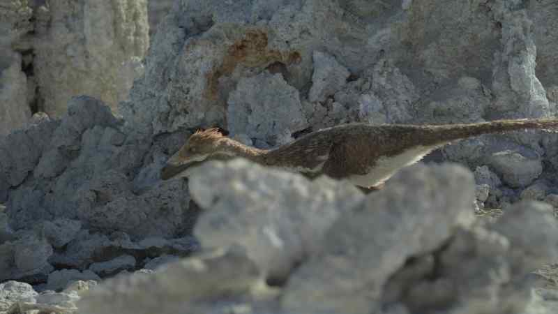 Pectinodon are not only intelligent