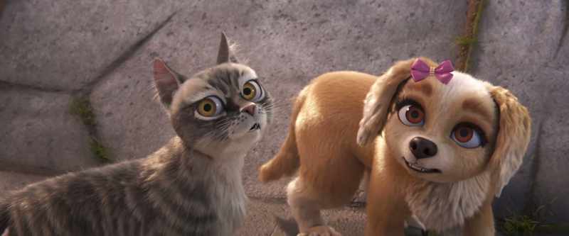 Pedro, I... - How is that going to
