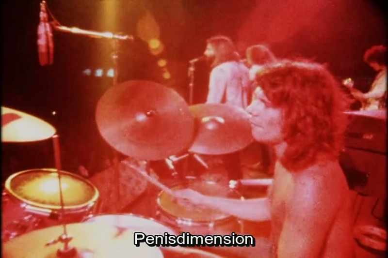 Penis dimension