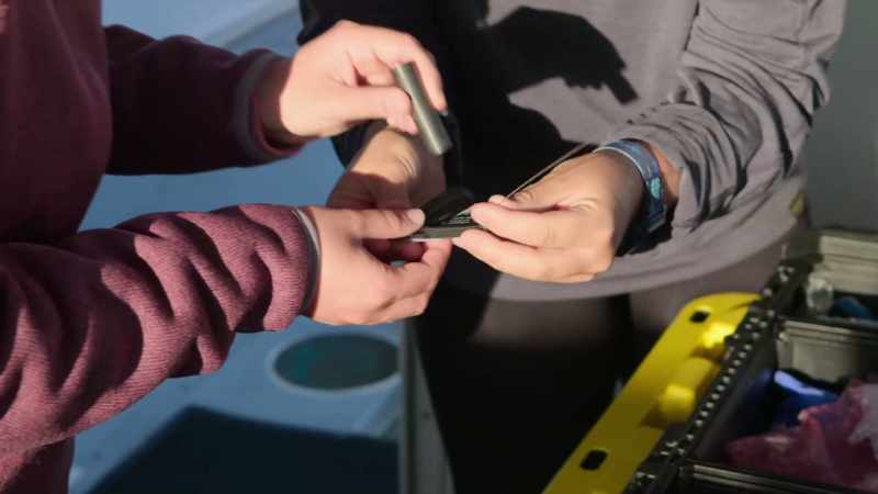 Pentru prima dată, echipa de cercetare vrea să prindă un pui