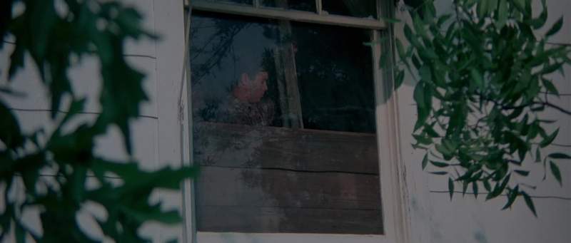 'People were afraid to walk in front of their windows