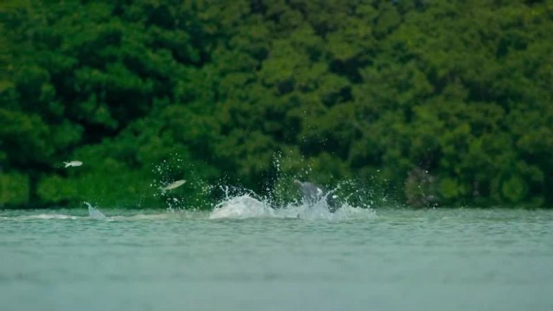 People aren't allowed to fish commercially within the national park