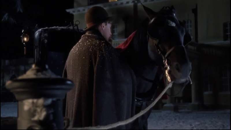 People aren't thoughtless just to horses