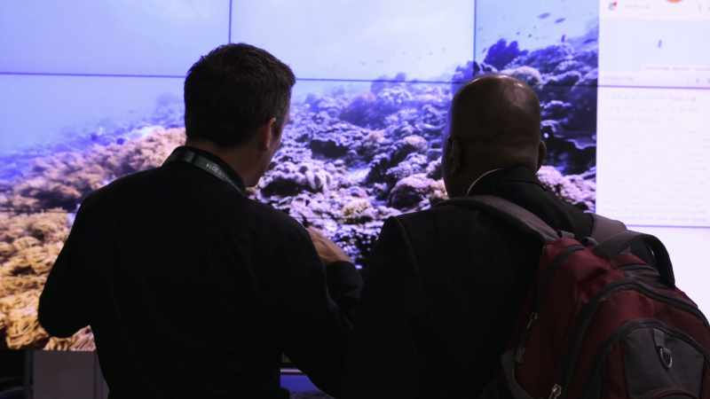 People were engaging with the imagery
