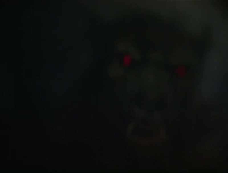people just see it running across the trail