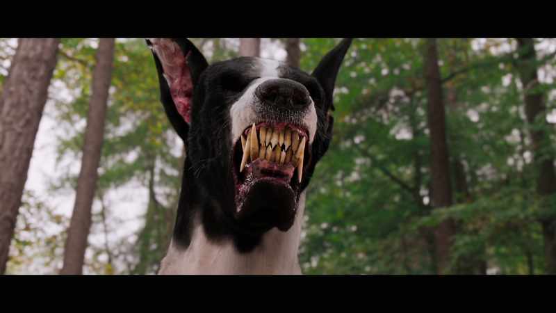 PEPPER: Oh, right. And your mum and dad