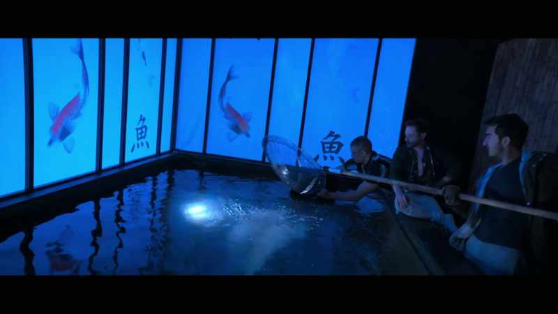 Perfect. Man, these are such beautiful fish