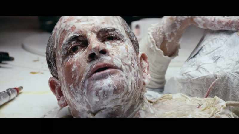 Perfect organism