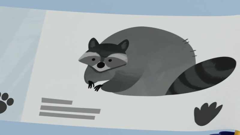 Perhaps cats, or raccoons or