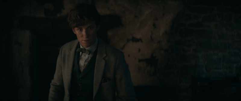 Perhaps things would have been different, and this boy