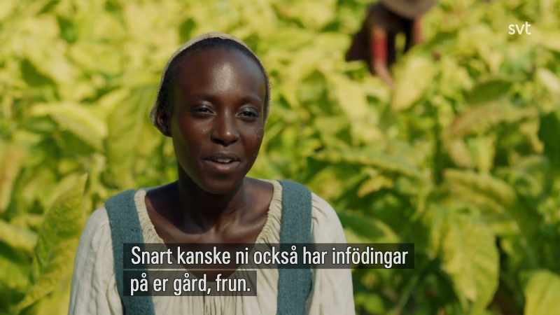 Perhaps you will have Naturals on your farm soon, ma'am