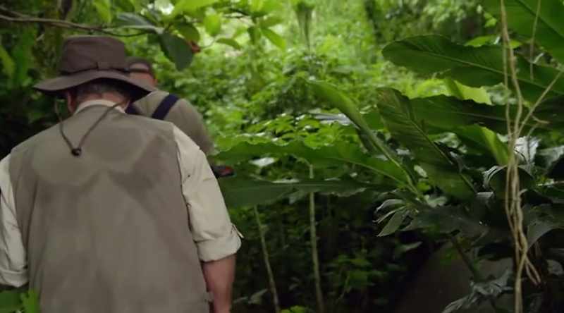 � Peter and Brad return to the turtle rock