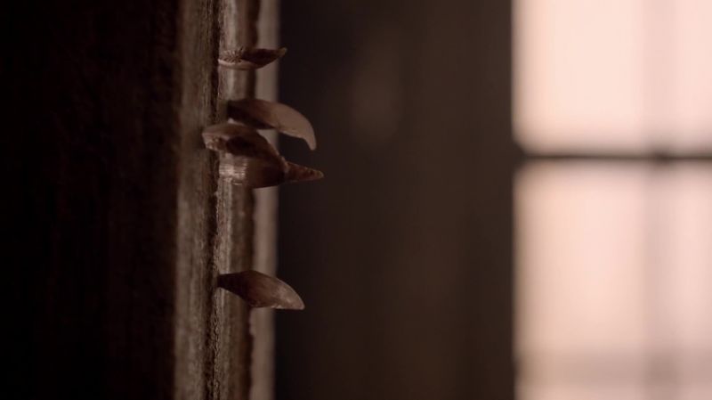 Peter: Lydia?