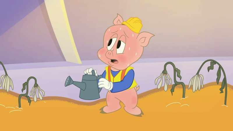 Phew! It's hot in here. I'm sweating like a pig
