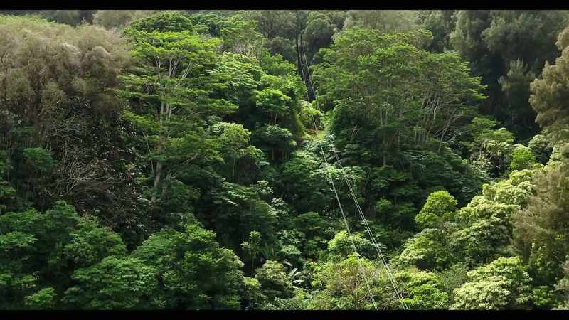 [Phil] If you hadn't already guessed, I'm going zip-lining