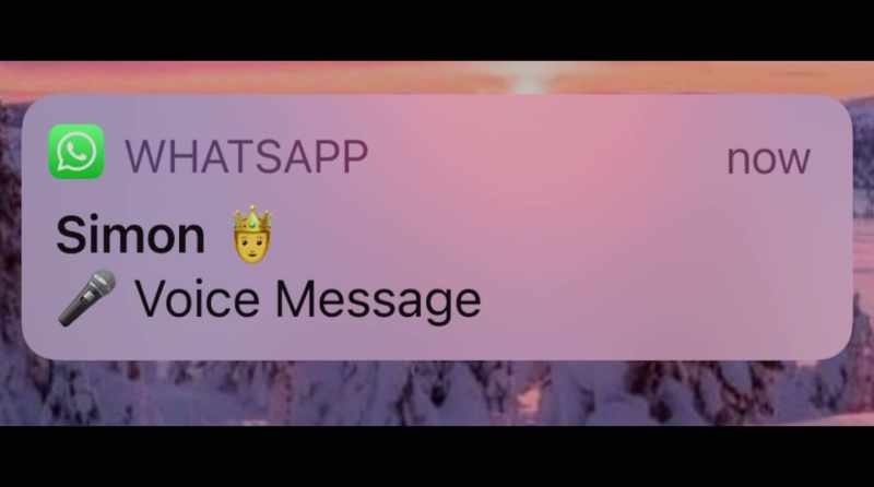 [phone chimes]