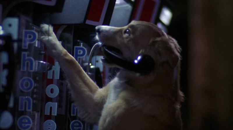 [phone rings]