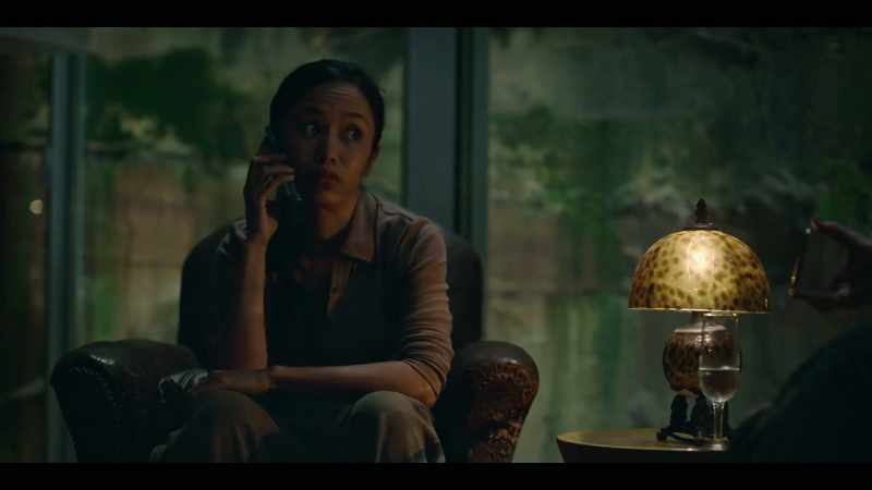 (PHONE RINGS)