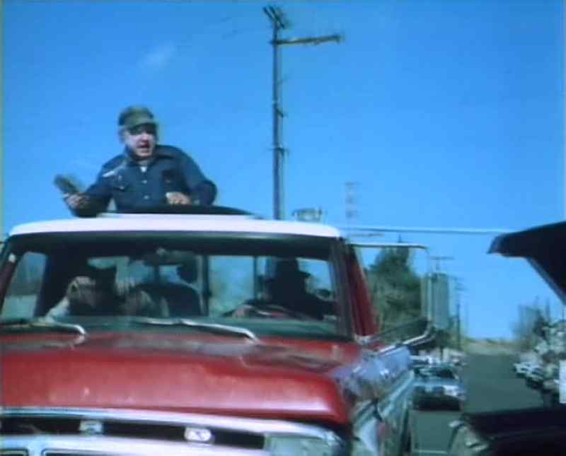 Phoney cops