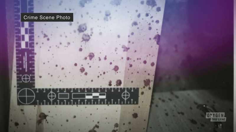 Photographs, fibers, blood