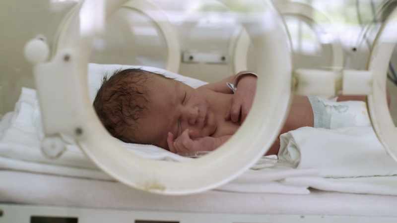 Phthalates can cause them to be born